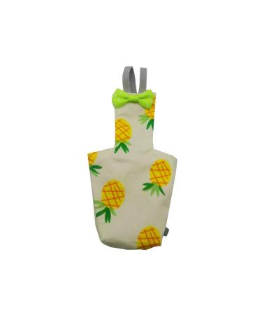Xianjun parrots with fly cute colorful fruits nymphensittich pigeons small medium large pet birds flight suit clothing