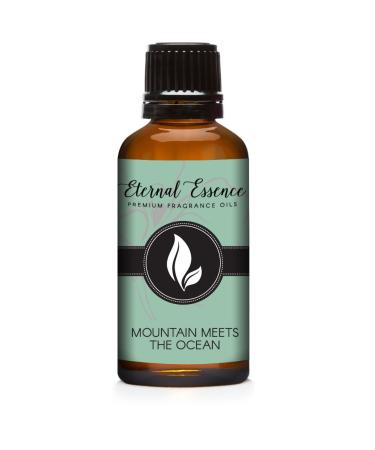 Mountain Meets The Ocean - Premium Fragrance Oil - 30ml Mountain Meets Ocean 1.01 Fl Oz (Pack of 1)