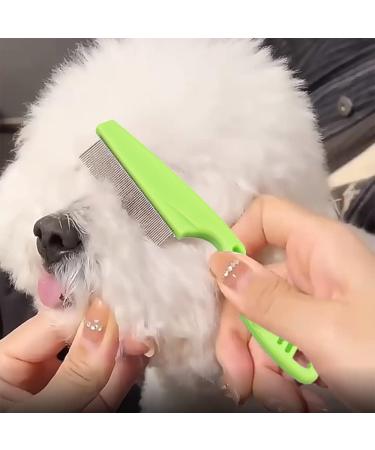 Hair Lice Comb Lice Combs Flea Lice Combs Stainless Steel Fine Tooth Comb for Grooming and Removing Dandruff - Buy Online on GoSupps.com
