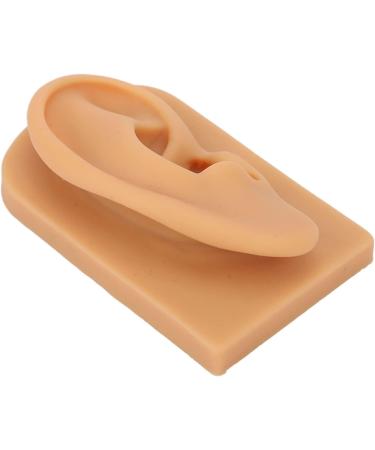 Flexible Silicone Right Ear Model for Hearing Aid Demonstration - Waterproof & Ideal for Science Education - Buy Online on GoSupps.com
