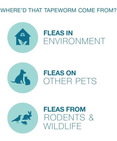Elanco Tapeworm Dewormer for Cats - 3 Praziquantel Tablets | Effective Treatment for Kittens 6 Weeks+ - Buy Online on GoSupps.com
