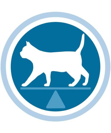 One Chicken and Wheat Dry Food for Sterilized Cat Pack of 1.5 kg - Buy Online on GoSupps.com