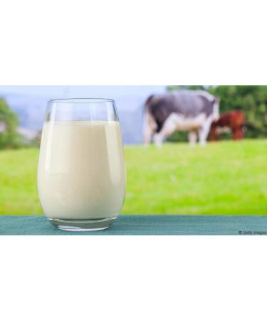 Earth Best 100% Natural Safed Musli Powder Chlorophytum Borivilianum (Pack of 100g) - Buy Online on GoSupps.com