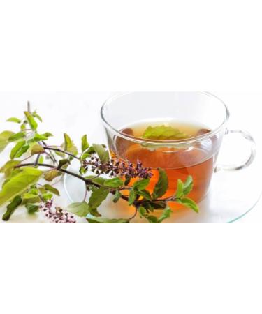 Chai Xpress Herbal Tulsi Tea | 25 Tea Bags | No Artificial Flavourings | No Preservatives | Rejuvenating Tea | 50g (Pack of 4) - Buy Online on GoSupps.com
