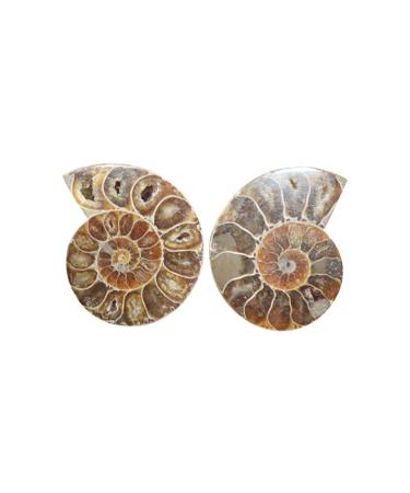 Third Eye Crystals Ammonit Fossil carved gemstone natural crystal stone orthoceras for home decoration aquarium accessories Decorative sculpture figure aquarium ornament as a gift