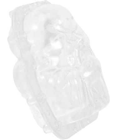 Happyyami 5pcs Fruit Shaping Watermelon Transparent Forming Stereotypes Ginseng Fruit - Buy Online on GoSupps.com
