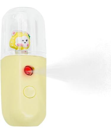 Pulv risateur d'eau hydratant pour le visage | brumisateur visage humidificateur nano pulv risateur | Face Water SPA Appareil hydratant 30 ml Humidificateur brume fra che pour femme Boiler Lapin aux Fraises - Buy Online on GoSupps.com