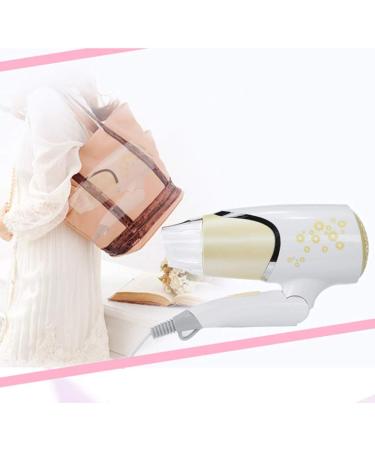 1500W Professional Hair Dryer Salon Hairdryer Compact Hair Dryer Styling Hairdryer with Ionic Conditioning Powerful Constant Temperature 2 Speeds Quick Drying for All Types of Styles and Hair Small - Buy Online on GoSupps.com