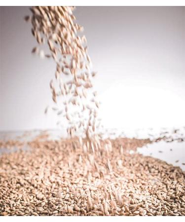 Birch & Meadow 8 oz Malt Vinegar Powder - Tangy & Sweet Flavor - Easy to Dissolve - Buy Online on GoSupps.com