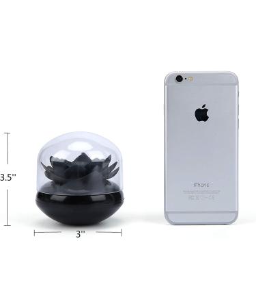 Buy Just 2 Pieces Lotus Qtip Holder - Stylish Cotton Swab & Toothpick Organizer (Green & Black) for Bathroom Decor - International Shipping Available - Buy Online on GoSupps.com