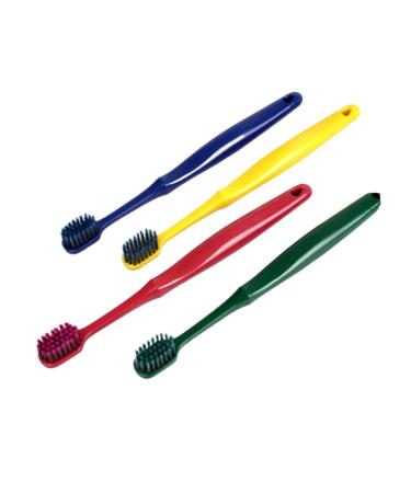 Minkissy 4 pieces of dental accessories umbrella storage bucket care guinea pig hats or