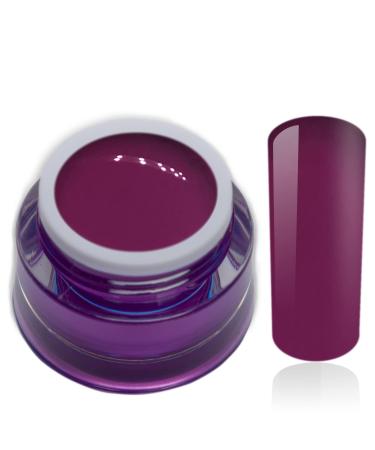 Color Gel Candy Pop Purple Violet Uv Led Nail Gel Studio Quality Color Gel RM Beautynails 1 Pack (1x 5ml)