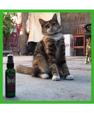 Organic Smokey's Stash Catnip Spray & Dried Combo Bundle - Maximum Potency Catnip for Cats - Buy Online on GoSupps.com