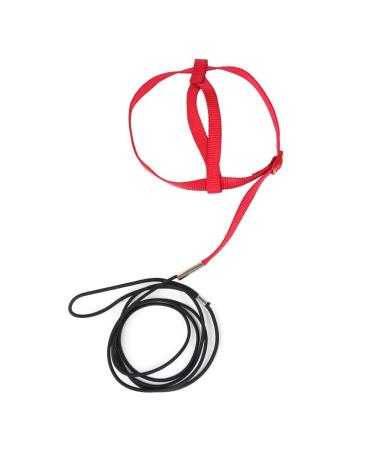 Parrot flight dishes portable 8 shape bird dishes adjustable bird dishes lead for small medium -sized parrot wave sittels Lovebird's nymphensittiechen XS