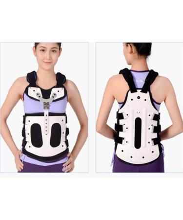 Dameco Lumbar Spine Orthosis - Breathable Thoracolumbal Bracket for Men & Women | Lightweight & Comfortable Support - Buy Online on GoSupps.com