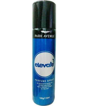 Men's Elevate Perfume Spray 100g