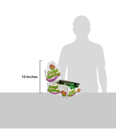 Tootsie Roll Caramel Apple Pops - 48 Count Package - Buy Online on GoSupps.com