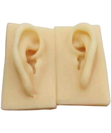 ERNZI Life Size Human Ear Model Set - 1:1 Acupuncture Educational Tool (Left & Right 9x5x7 cm) - Ideal for Students & Practitioners - Buy Online on GoSupps.com