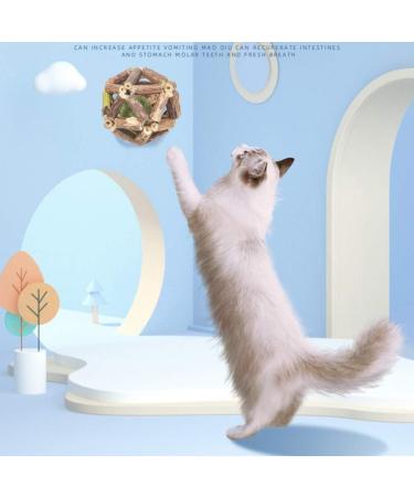 2 Pack Catnip Toys for Cats | Teeth Crunch Chew Mint Balls | Interactive Natural Wood Roll Ball | Appetite Booster & Dental Care - Buy Online on GoSupps.com