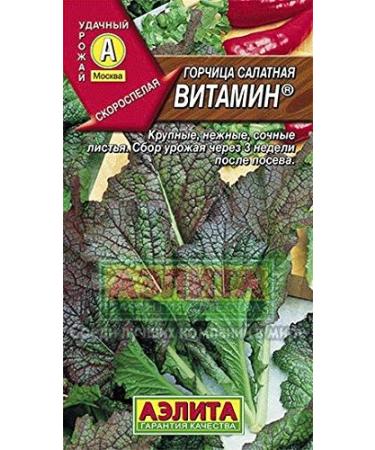 Portal Cool 1 Packet Russian Mustard SeedsVitamin of biologische biologische kwaliteit