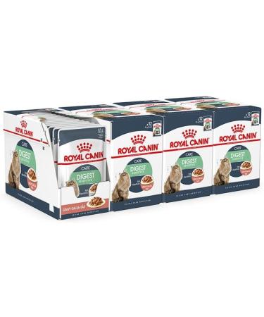 Royal Canin Digestive Care Adult Wet Cat Food in Gravy 48 x 85g Multipack - Buy Online on GoSupps.com