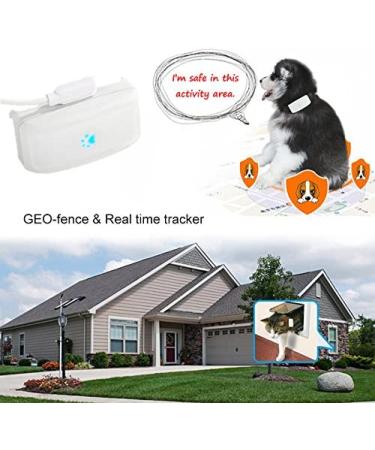 Zeerkeers Dog GPS Tracker - Real Time Waterproof Tracker for Dogs & Cats | Location & Activity Monitoring Collar with SOS Alarm | APP Control - Buy Online on GoSupps.com