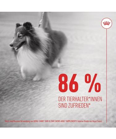Royal Canin Skin Coat Chews | Double Pack | 2 x 240 g | Snacks for Adults Dogs of All Sizes & Breeds | In Resealable Bag | Developing with Veterinarians | With Poultry Protein - Buy Online on GoSupps.com