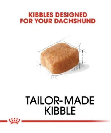 Royal Canin Dachshund Adult 1.5 kg - Buy Online on GoSupps.com