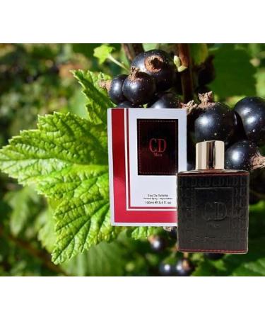 Chris Designer CD MEN Amber Spicy fragrance for men. Eau de Parfum 3.4 Fl. Oz - Buy Online on GoSupps.com