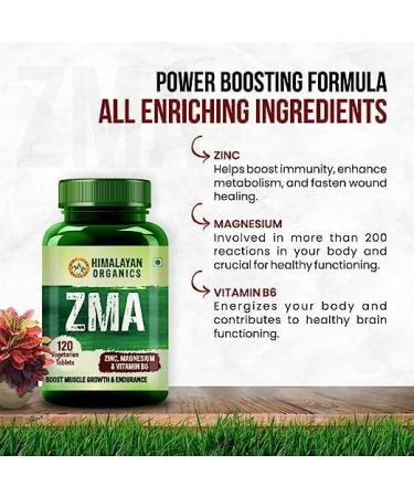ZMA Nighttime Recovery Supplement - 120 Veg Tablets | Zinc + Magnesium Aspartate Formula - Buy Online on GoSupps.com