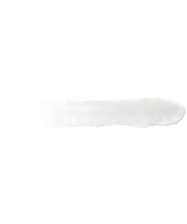 Burt's Bees Lip Balm Stocking Stuffer - 100% Natural SPF 15 Lip Care Holiday Gift, Water Resistant All-Weather Formula - 2 Pack - Buy Online on GoSupps.com