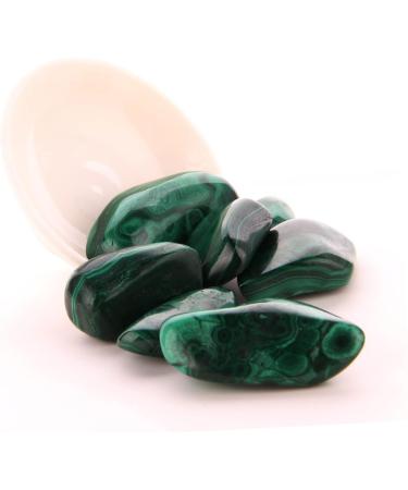 FOMIYES 2pcs Malachite Stones Gem Malachite Bulk Cerovital Natural Polished Gemstone Cereals Large Particles As Shownx2pcs mediumx2pcs - Buy Online on GoSupps.com