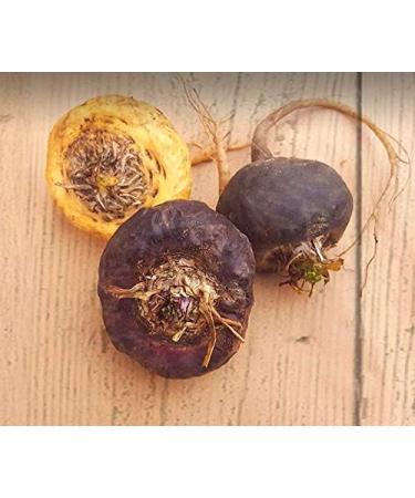 Organic Red Maca Root Gelatinized Powder Soil Association certified 250g From the high Peruvian mountains. - Buy Online on GoSupps.com