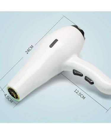 ADITAM 2000W Hair Dryer Nano Ionic Blow Dryer Professional Salon Hair Blow Dryer Lightweight Fast Dry Low Noise with Concentrator Diffuser 2 Speed and 3 Heat Settings Double The Comfort - Buy Online on GoSupps.com