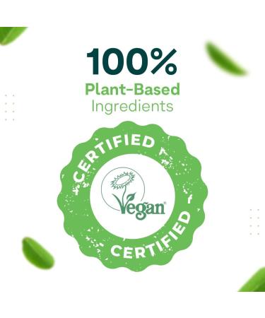 Buy Superfood Plant Protein Powder - Coco Vanilla Complete | 15 Vitamins & Minerals for Energy Digestion & Healthy Skin - 250g - Buy Online on GoSupps.com