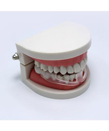 Anti Grinding Teeth Night Guards 3Pcs M White - Mouth Guard for Grinding Teeth, Clenching, Sleep Aid - Buy Online on GoSupps.com