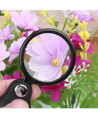 5X 40mm Portable Mini Magnifier Foldable Reading Jewelry Magnifying Glass Loupe - Buy Online on GoSupps.com