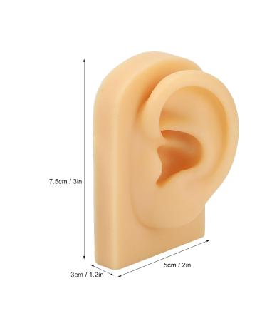 Flexible Human Silicone Ear Model for Hearing Aid Display | Elastic Fake Ear for Cosmetic Training - International Shipping - Buy Online on GoSupps.com