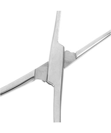 BESPORTBLE Reptile Feeding Clip Cricket Feeder Aquarium Tongs Extra Long Stainless Steel Silver - Buy Online on GoSupps.com