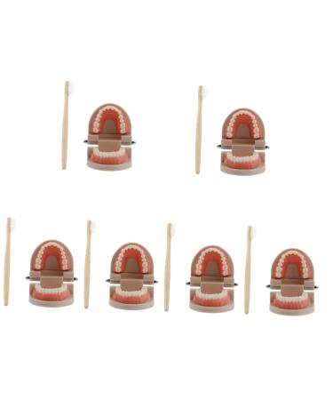 Solustre 6 sentences for brushing your teeth removable tooth model oral cavity model children's recognition toys teaching model teeth preschool dentures school material melamine resin