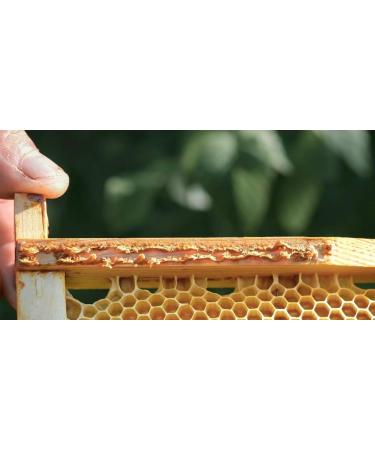 The Nature Queen 100% Raw Bee Propolis from Romania 20g - Natural Antibiotics for Infection & Immune System Booster - Organic Bees Products (Pack of 1) - Buy Online on GoSupps.com