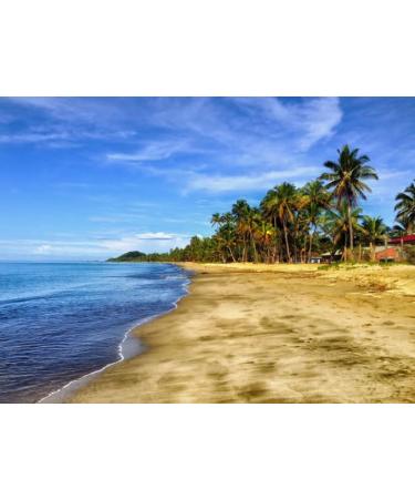 Micronized Instant Kava Powder-Solomon Kava (16 oz) - Buy Online on GoSupps.com