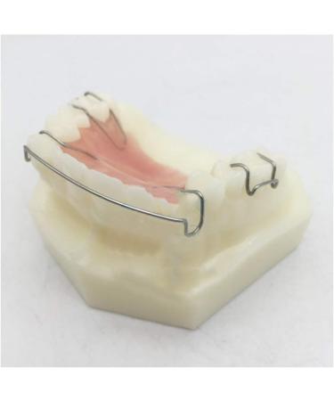 Fhuili Dental Teeth Model for Orthodontics Training - KFO Retainer Study & Teaching Simulation - Buy Online on GoSupps.com