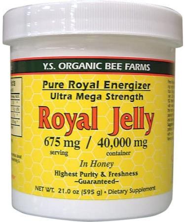 Y.S. Eco Bee Farms Royal Jelly In Honey 675 mg 21.0 oz (595 g)