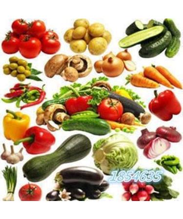 Portal Cool 50Pcspepperb: 50 pc Organico Orto Non OGM Organic Tomato Pepe Zucca Cucu