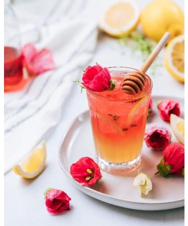 BARMAN IL DOGE Hibiscus Syrup 70cl - Buy Online on GoSupps.com