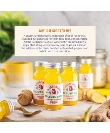 Agua De Madre Culture Shots (10 x 60ml) | Healthy Ginger Shots With Water Kefir and Turmeric | Functional Cultured Gut Goodness | With Black Pepper for Better Absorption | A Perfectly Formed Punch! 10 Count (Pack of 1) - Buy Online on GoSupps.com