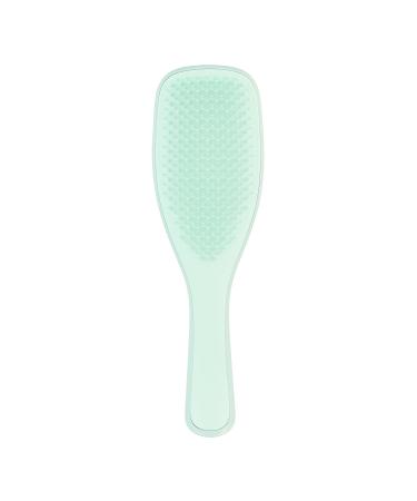 Tangle Teezer Wet Detangler Hairbrush for Fine & Brittle Hair - Jade Lagoon & Mint Violet Bundle | Professional Hair Care - Buy Online on GoSupps.com