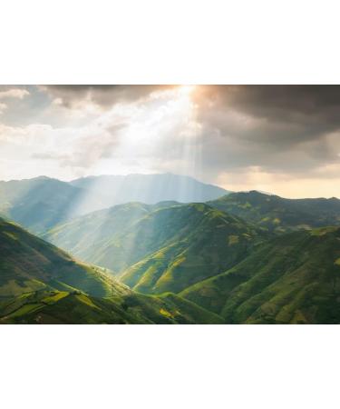 Lais Puzzle Rice fields preparing for harvest in northwest Vietnam 1000 pieces - Buy Online on GoSupps.com