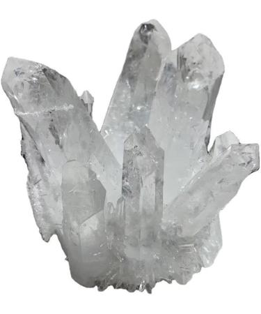 400G-700G Raw Natural White Clear Quartz Cluster Rough Crystal Geode 1pc HOMEZHOU (Size : 1PC 500G-580G) - Buy Online on GoSupps.com